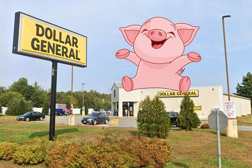 Have You ‘Squeezed the Pig’ at the Dollar General in Auburn, Maine?