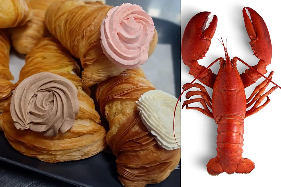 Maine’s Holy Cannoli Unveils Lobster Tail Pastry