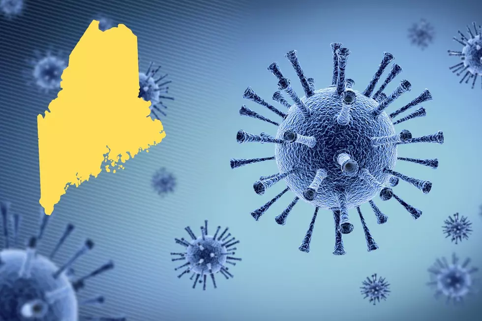Salmonella Strikes: Maine Joins Growing U.S. Outbreak
