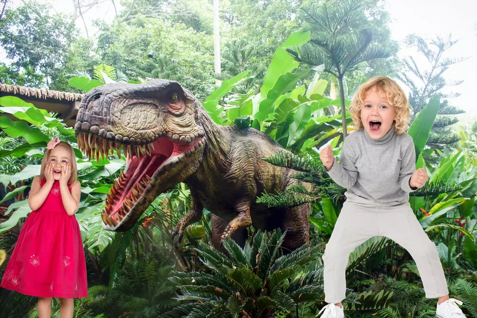 Roar Into Prehistoric Times at Dinosaur Adventure Coming to Augusta, Maine