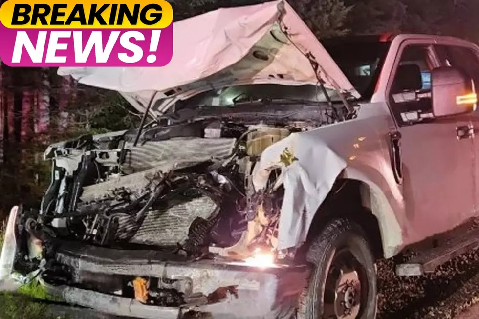 Pickup Truck Crashes into Two Maine Moose at The Same Time Wednesday Morning