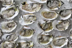 5th Annual Maine Oyster Festival Returns to Freeport June 27-28