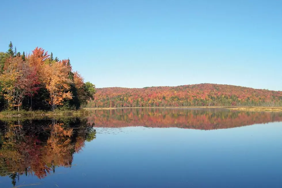 Even Lifelong Mainers Haven't Crossed These Spots Off Their List