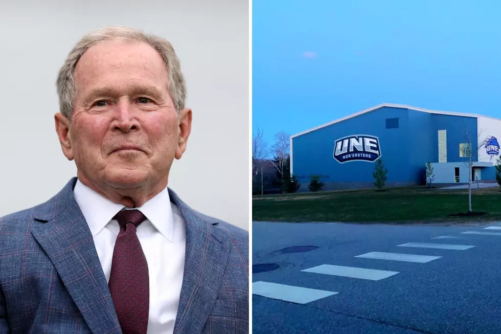 Former President George W. Bush Bringing Art Exhibition to Maine in August 2026