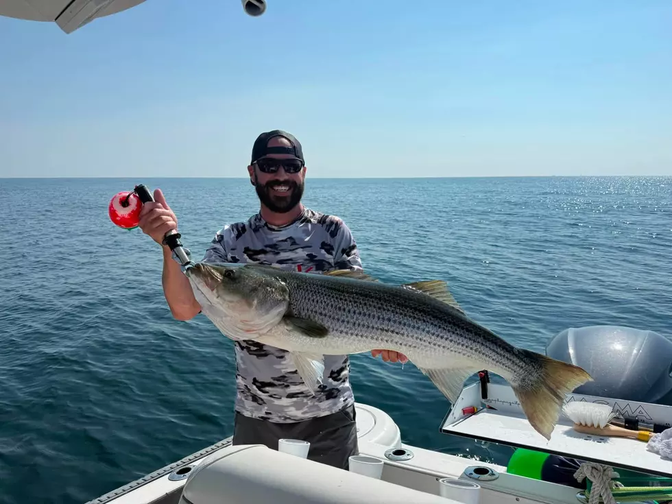 Joey's Fish