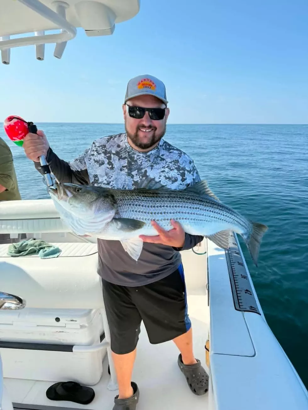 Matt James Fish