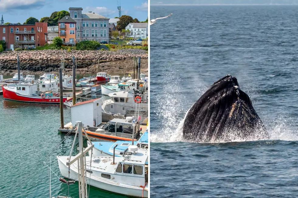 These Maine Summer Adventures Topped Our Listeners' Bucket Lists