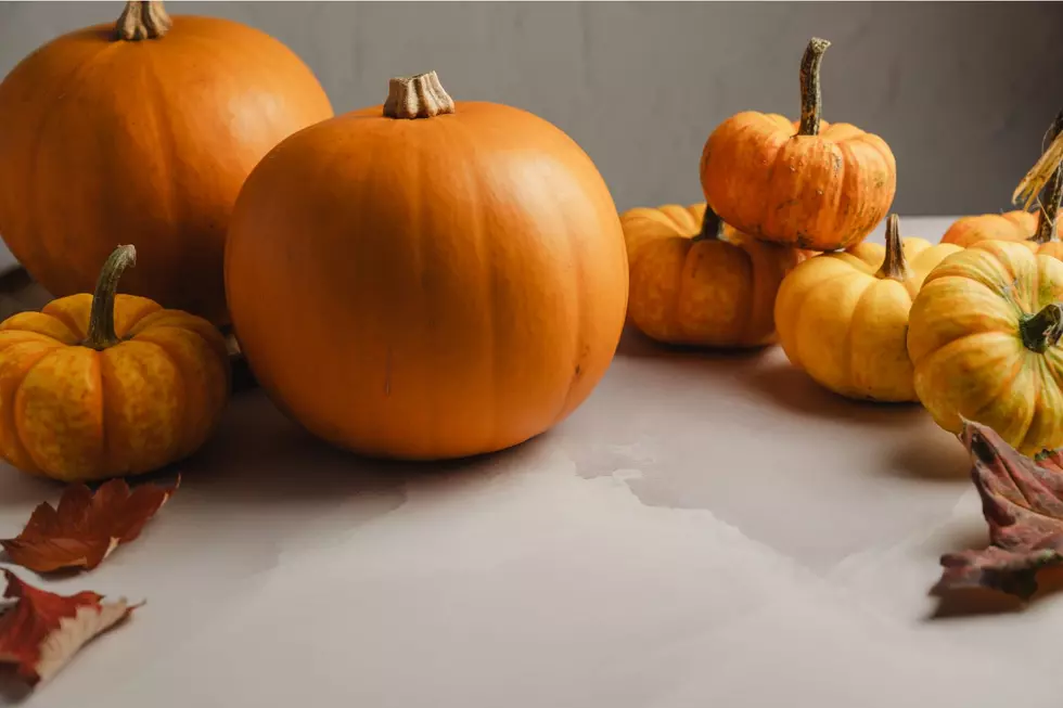 This Fan-Favorite Fall Drink Is Officially Back at Aroma Joe’s Locations in Maine
