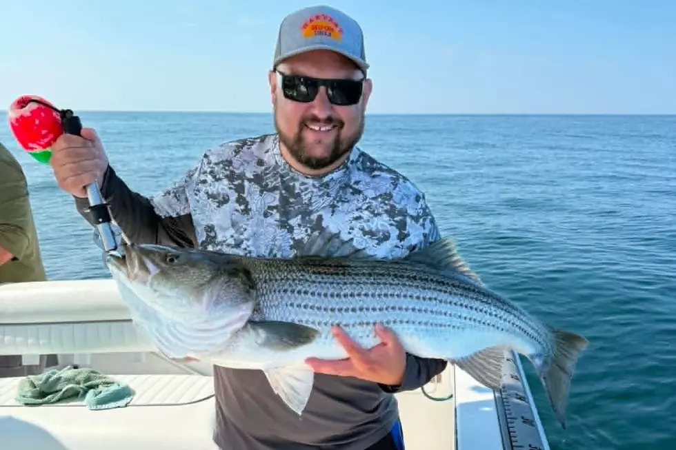 Maine Way Outfitters Took Us on an Incredible Maine Striper Trip