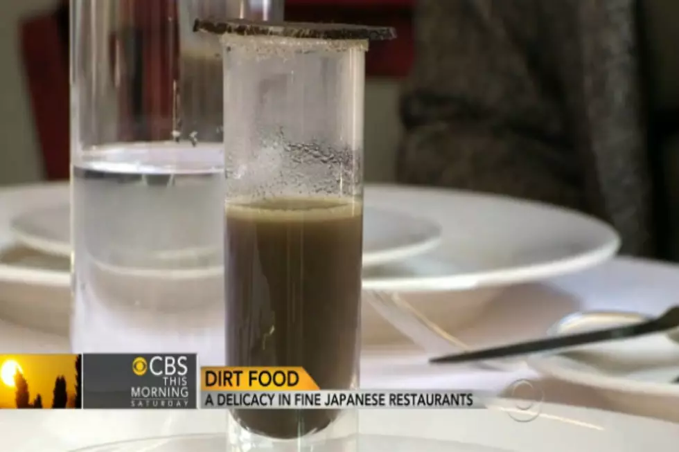 Dirt Food a Delicacy in Japan [VIDEO]