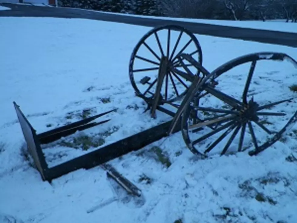 Fort Fairfield Man Charged After Striking Horse-Drawn Wagon