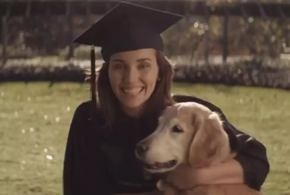 Best Friends for Life&#8230;Chevy Hits a Home Run with This Commercial!