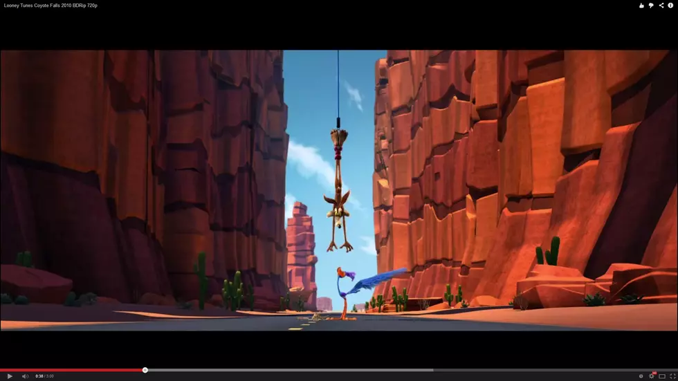 The Roadrunner and Wile E Coyote in Video Short [VIDEO]