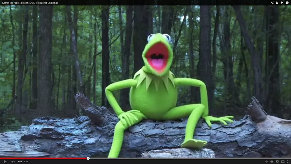 Kermit the Frog Ice Bucket Challenge [VIDEO]