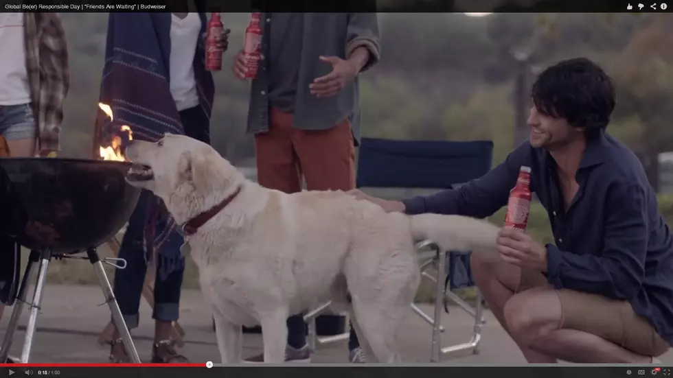 Budweiser Don&#8217;t Drink and Drive Ad Tugs at Heartstrings [VIDEO]
