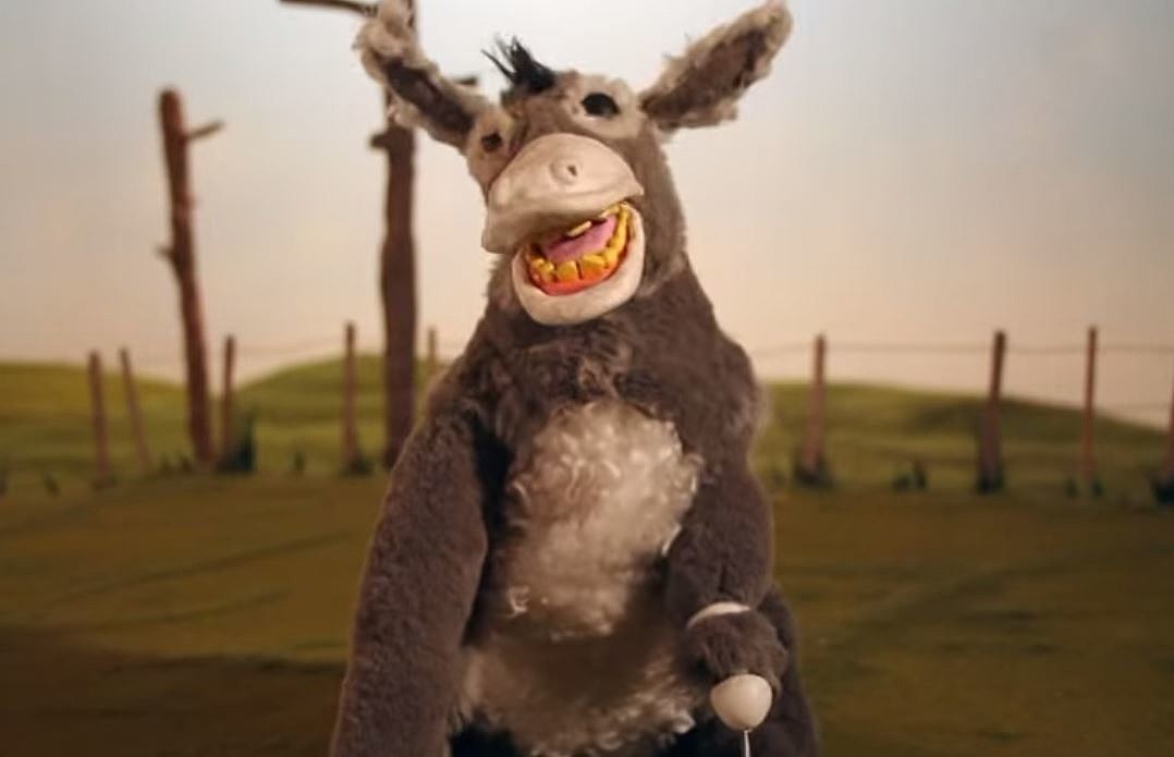This Donkey Loves Country Music ...He's a Honky Tonky Wonky Donkey!