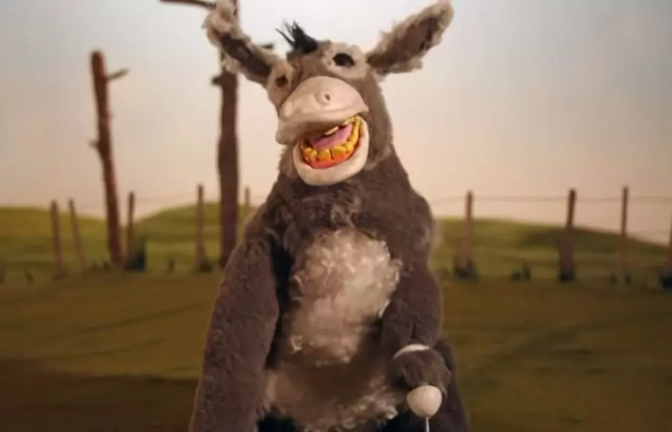 What Do You Get When You Have a 3 Legged, One Eyed Donkey that Listens to Country Music…The Wonky Donkey [VIDEO]