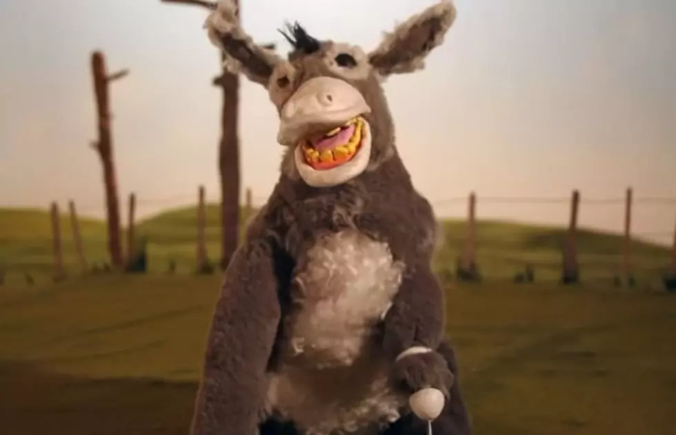 What Do You Get When You Have a 3 Legged, One Eyed Donkey that Listens to Country Music&#8230;The Wonky Donkey [VIDEO]