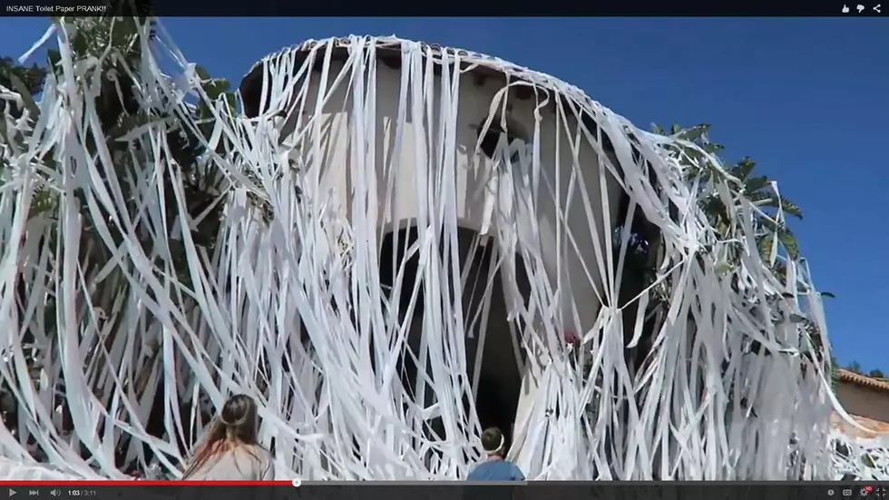 Wait Til You See Whose House Gets Toilet Papered! [VIDEO]