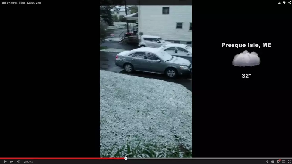 One Mainer Reacts to Snow Two Days Before Memorial Day [VIDEO]