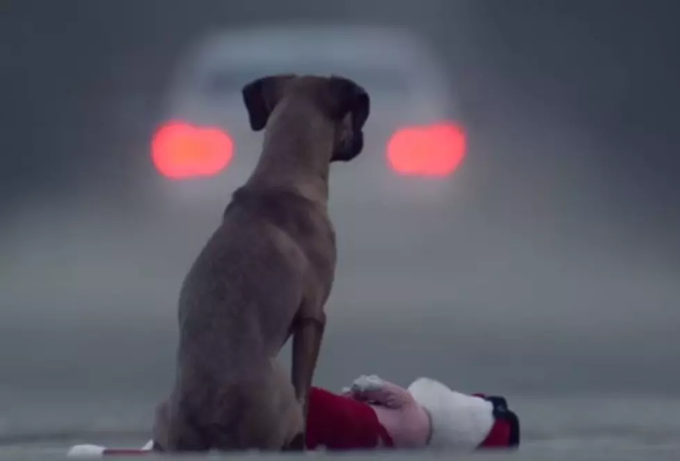 The Symbolism In This Video Will Break The Hearts of All Those That Love Their Pets. [VIDEO]