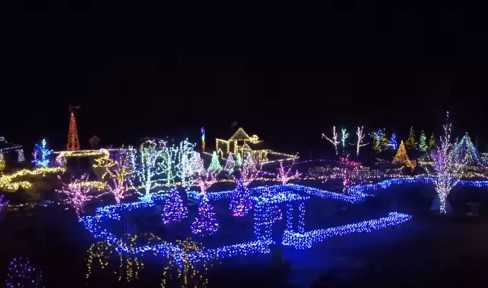 Gardens Aglow is a Must See Attraction This Month [VIDEO]