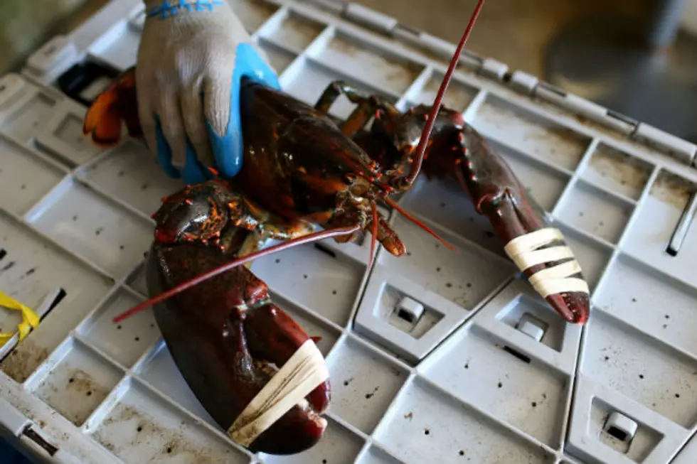 Brewer Third-Graders Visit Augusta To Support State Crustacean Bill