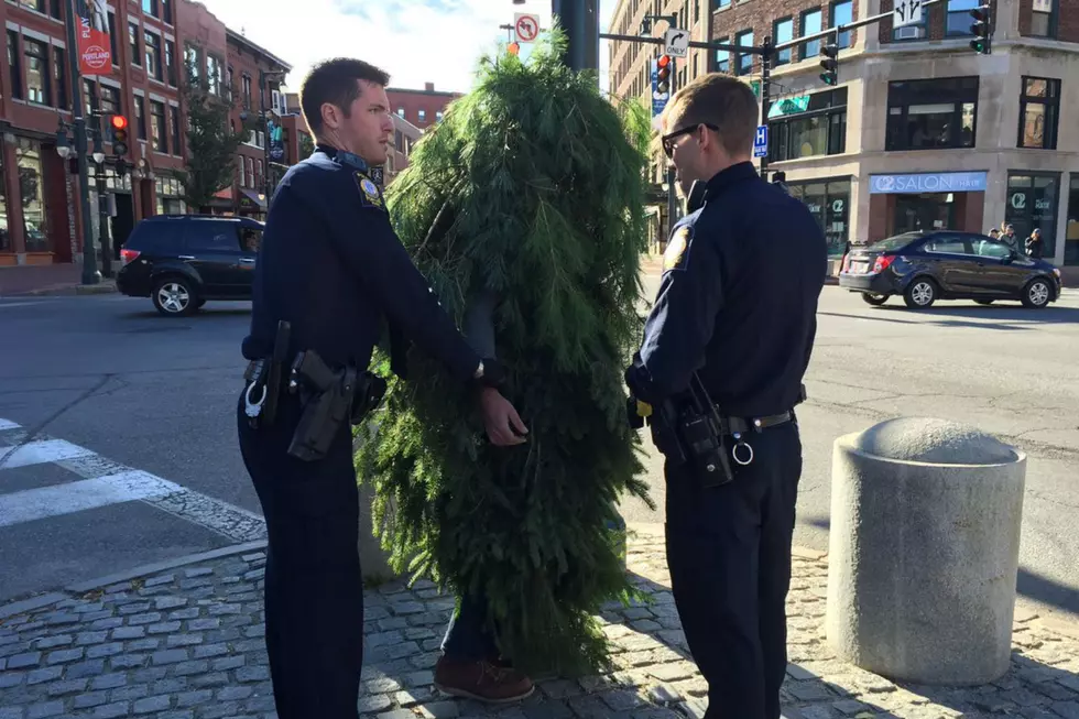 Man Dressed As Tree Charged With Obstructing Traffic In Portland [WATCH]
