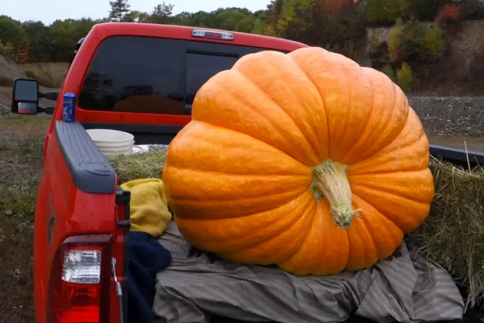 WATCH: Mainers Blow Up a 425 Pound Pumpkin with Tannerite in Windsor, Maine