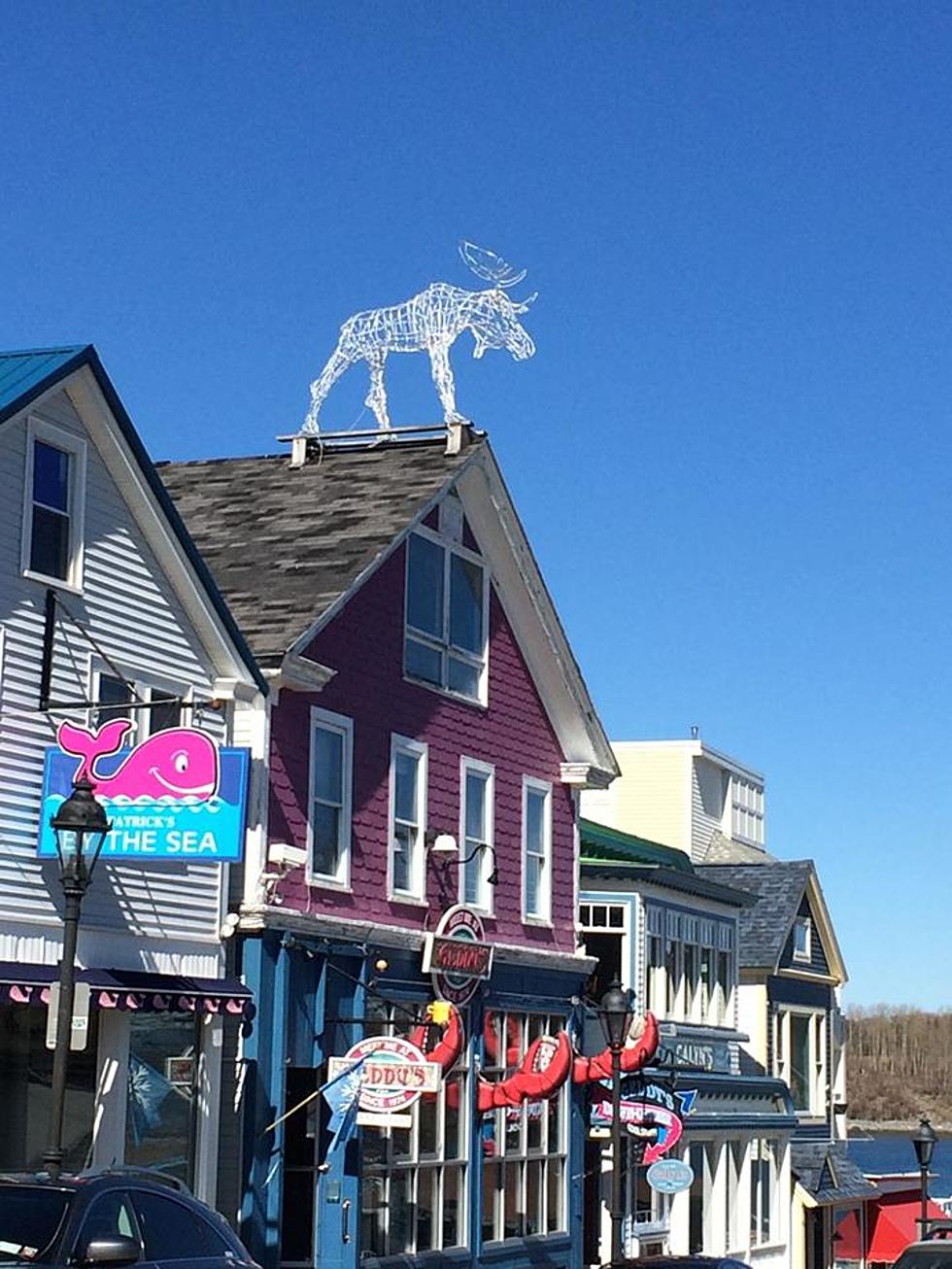 Weird Things You See On Roofs in Maine