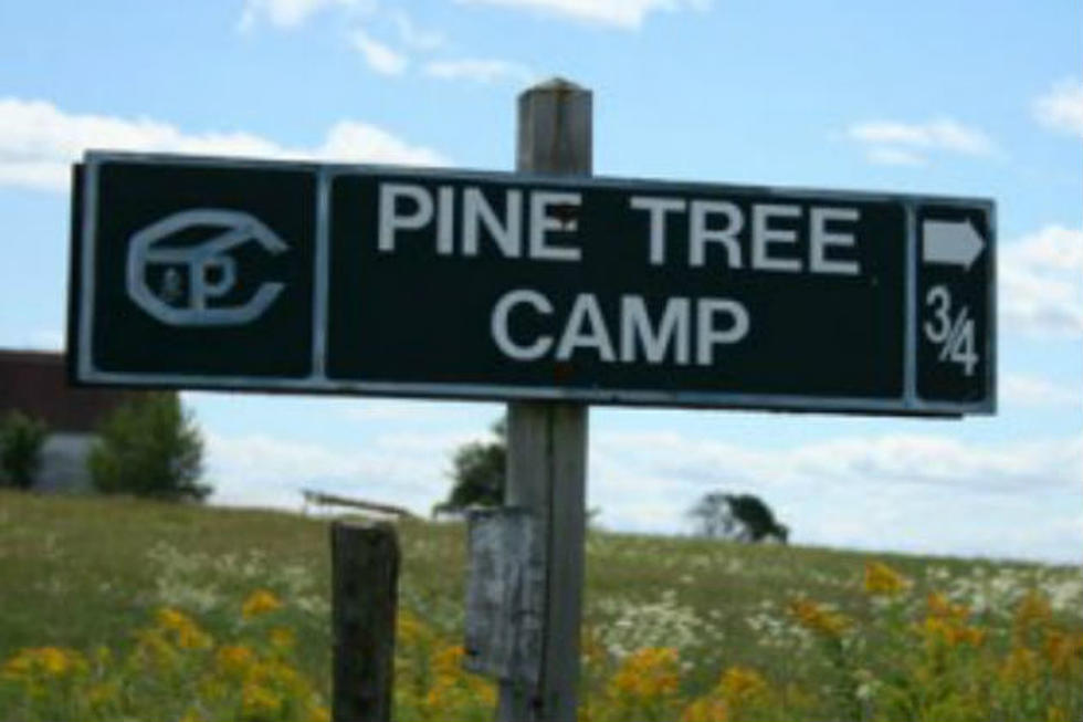 Pine Tree Camp Open This and Next Saturday for Adventure Day