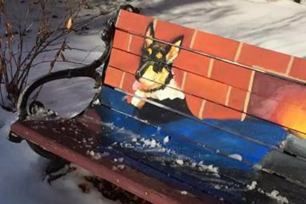 Is This Bench in Maine the Most Maine Bench in Maine? [PHOTO]