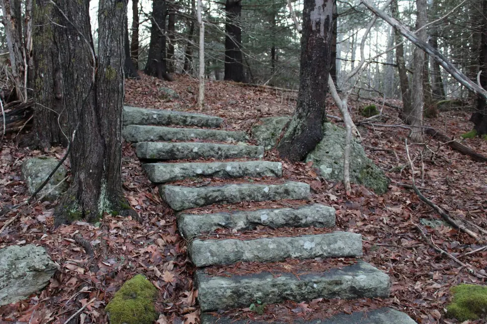 This Abandoned Estate Trail May Be Acadia&#8217;s Best Kept Secret