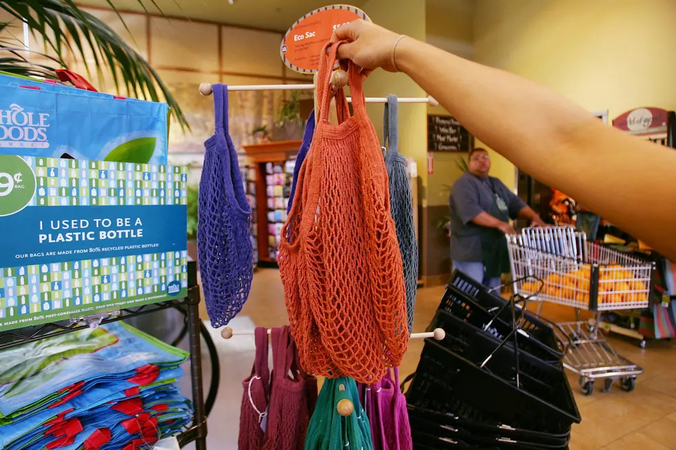 Should Plastic Shopping Bags Be Banned? [POLL]