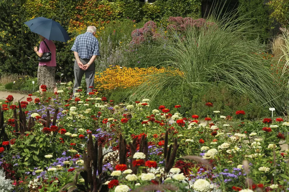 Green Thumbs Need Apply: Adopt A Garden In Bangor