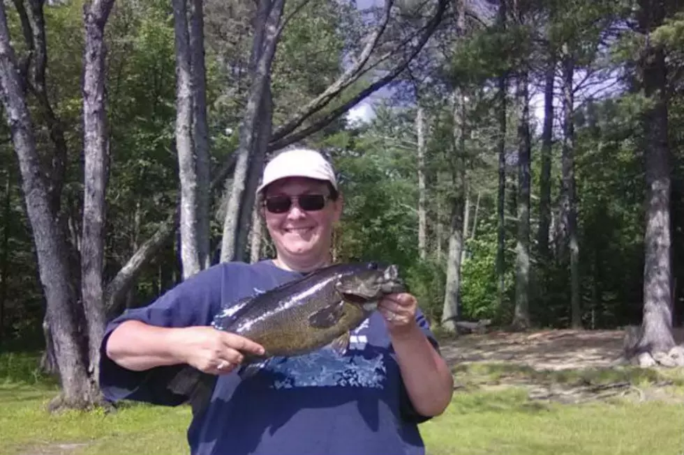 Summer Vacation In The Maine Outdoors [PHOTOS]