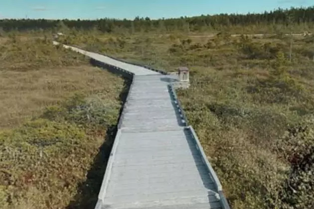 Orono Bog Boardwalk Vandalized For 4th Time This  Year