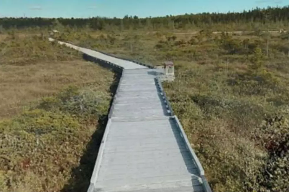 Due To Safety Concerns, the Orono Bog Walk is Now Closed for the Season