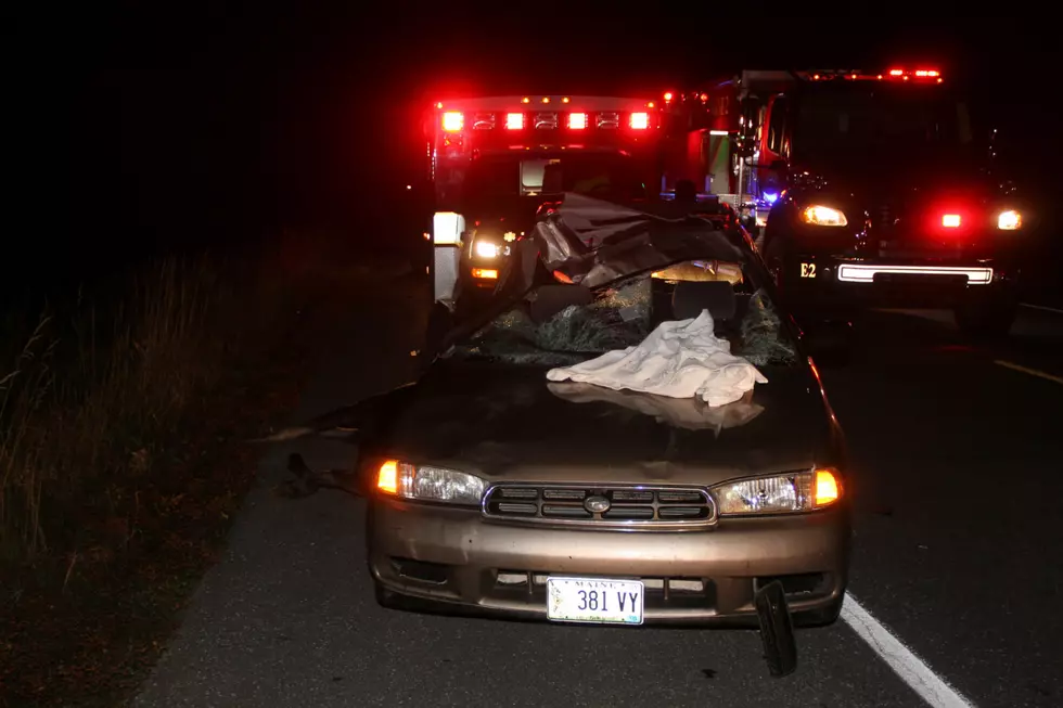 Woman Injured In Collision With Moose In Aroostook County