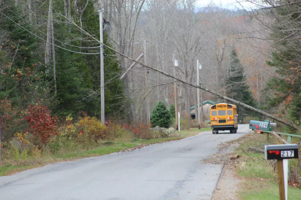 High Wind Warning Issued for Parts of Maine Ahead of Strong Storm