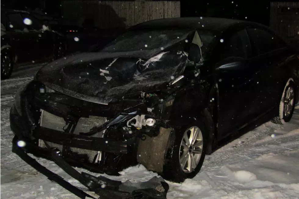 Car Driven By Chester Man Collides With Moose