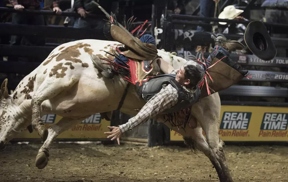 Professional Bull Riders Returning To Bangor This Weekend