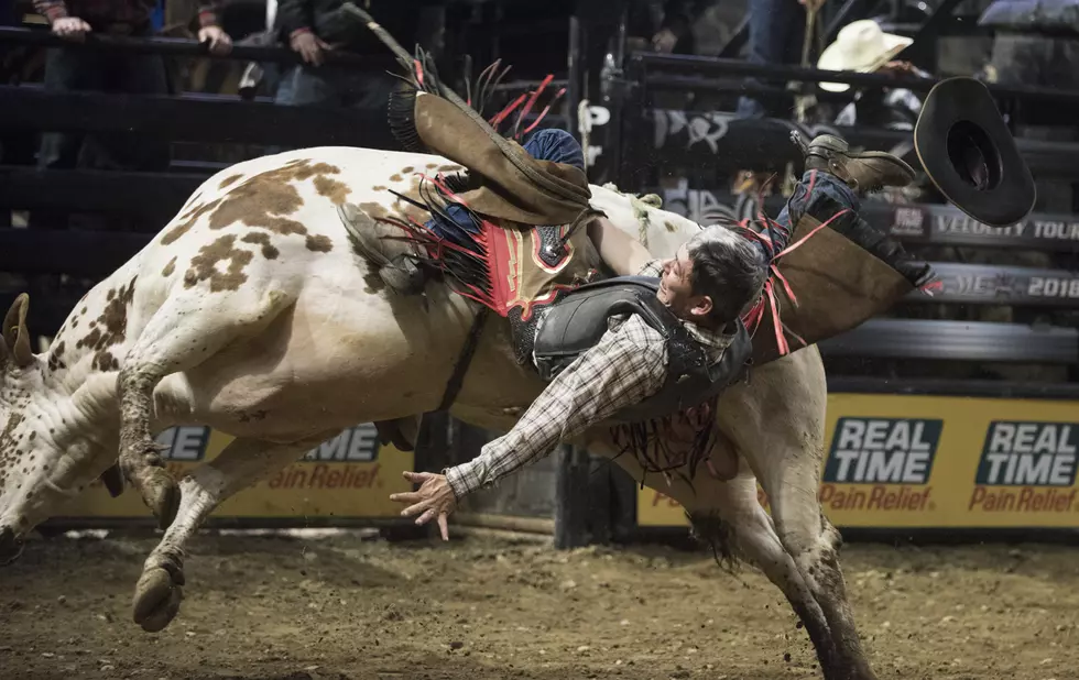 Michael Lane Wins Professional Bull Riders Bangor Classic