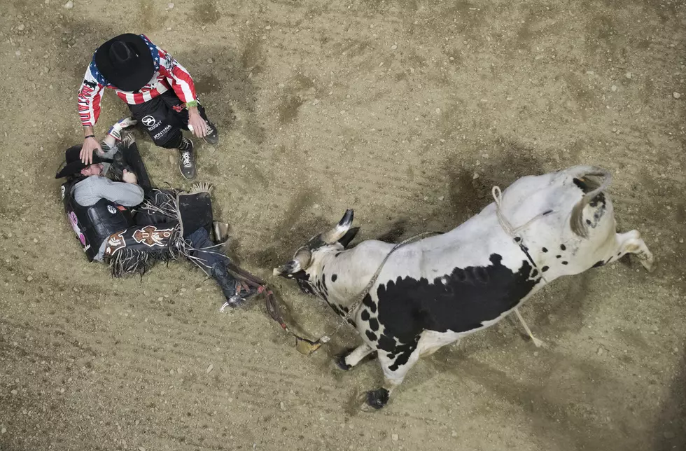 Professional Bull Riders Bring The Action To Bangor [PHOTOS]