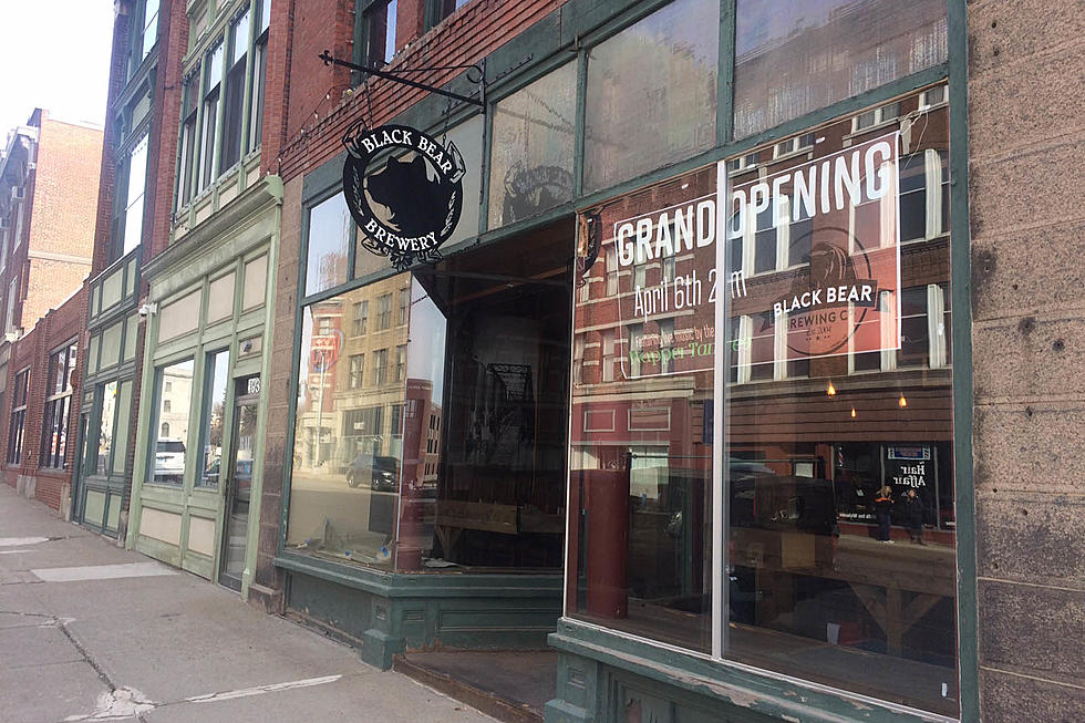 Black Bear Brewery To Close Downtown Bangor Location