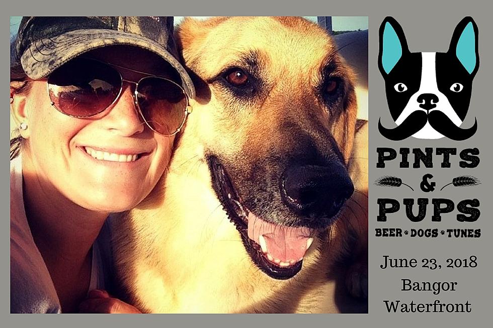 Party With Your Pooch At ‘Pints & Pups’ On The Bangor Waterfront