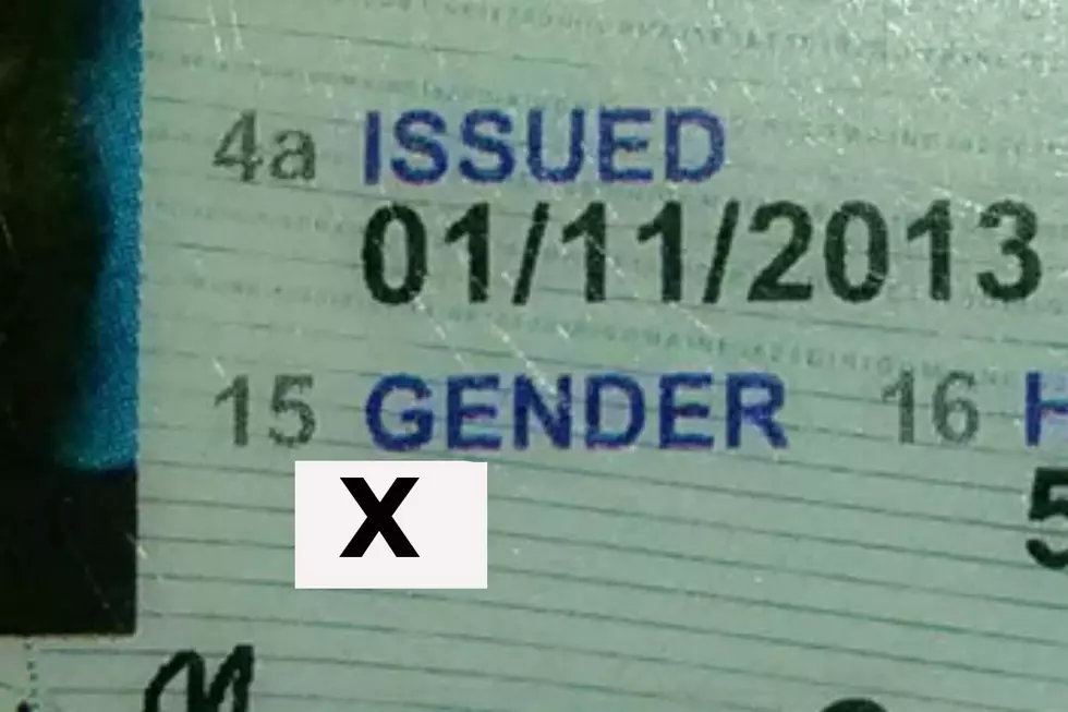 Maine To Offer New Gender Option On State Licenses And IDs