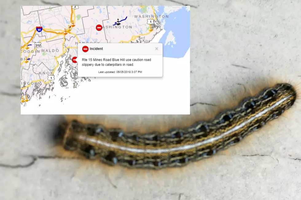 Actual Traffic Advisory Warns Of Caterpillars In The Road