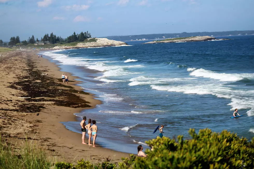 Mainers Get Free Admission To State Parks Until Labor Day