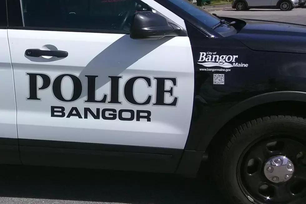 Police Identify Remains Found Off Stillwater Avenue In Bangor